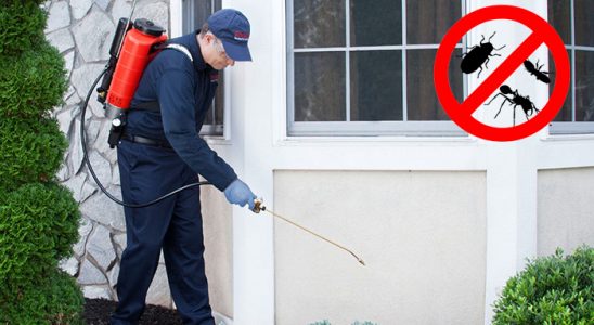 Karabük Dezenfeksiyon böcek ilaçlama ve haşere kontrolü — ilaclama-tr.com